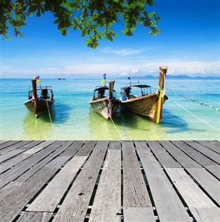 கோரல்