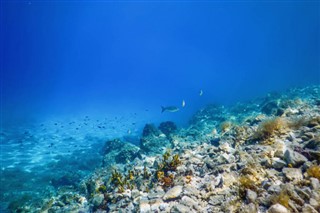 コーラル・シー諸島