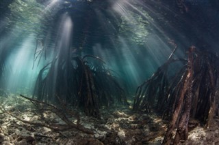 珊瑚海群岛