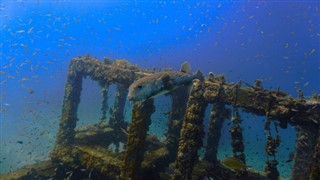 コーラル・シー諸島