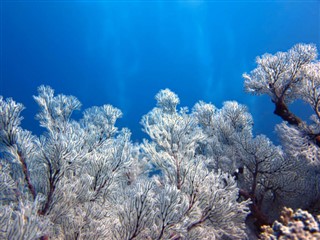 珊瑚海群岛