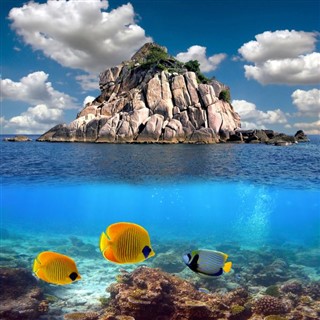 หมู่เกาะคอรัล