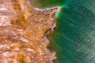Coral