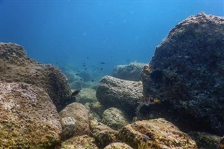 コーラル・シー諸島