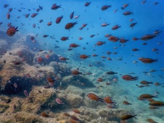 珊瑚海群島