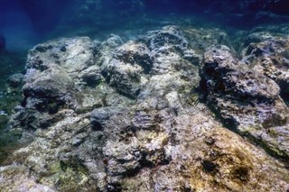 珊瑚海群島