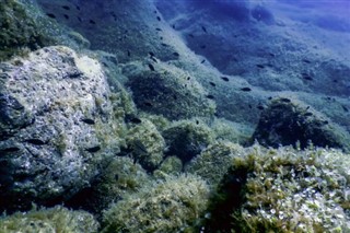 珊瑚海群島