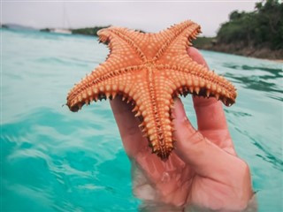 コーラル・シー諸島