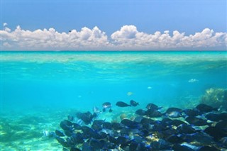 珊瑚海群岛