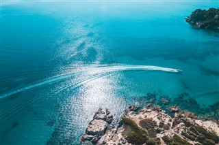 கோரல்