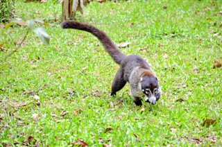 কোস্টারিকা