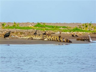 Костарика