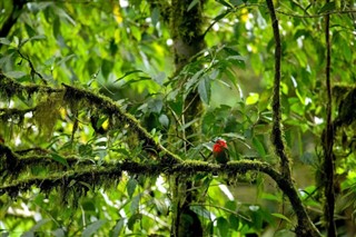 কোস্টারিকা