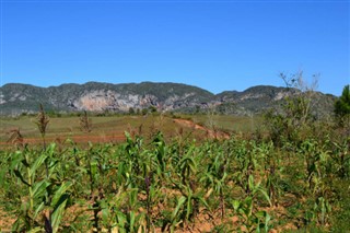 Cuba