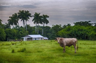 Cuba