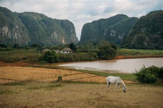 Cuba