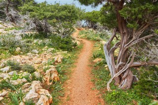 塞浦路斯