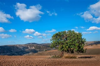 קַפרִיסִין