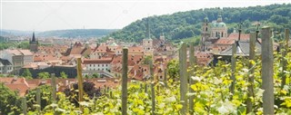 Čehu