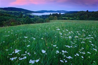 Česká