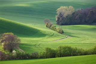 Tsjekkisk