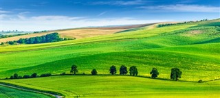 Česká