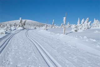 Česká