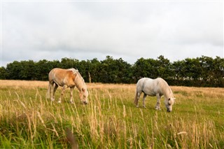 Denmark