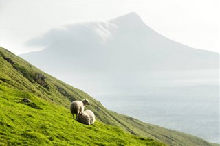 डेनमार्क