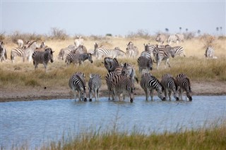 Djibouti