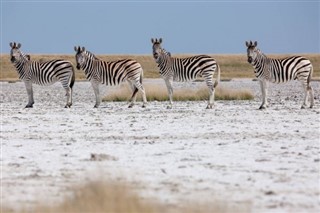 Dzsibuti