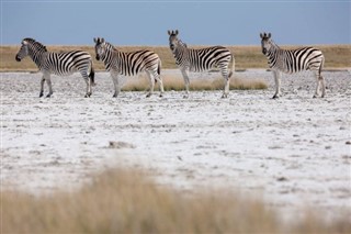 Djibouti