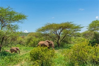 Djibouti