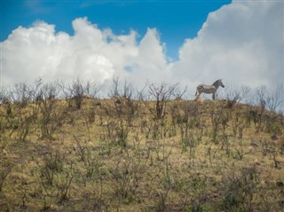 Djibouti