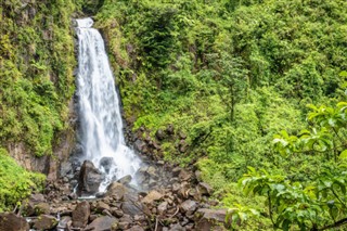 Dominica