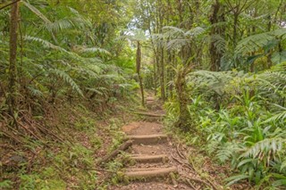 dominica