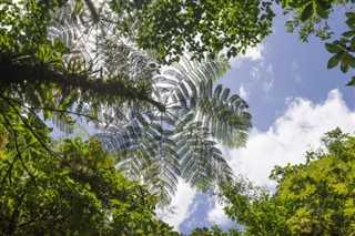 dominica