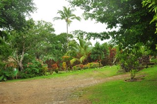 Dominikānas