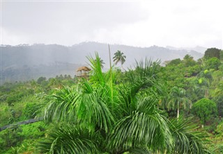 Dominicaanse