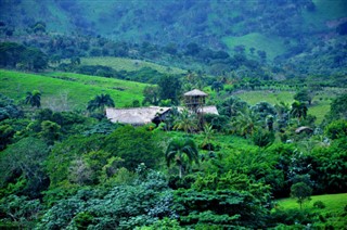 ডোমিনিকান