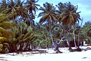 Доминиканска