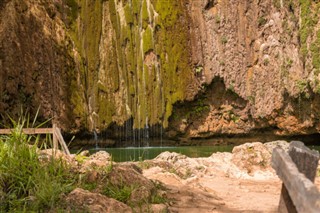 Домініканська