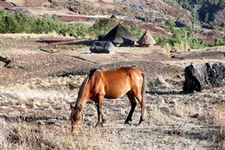 Doğu