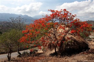 Itä-Timor