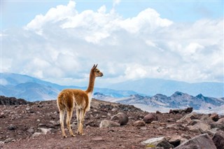 Ecuador