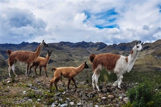 Ecuador