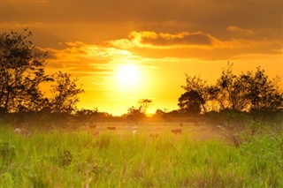 Ecuador