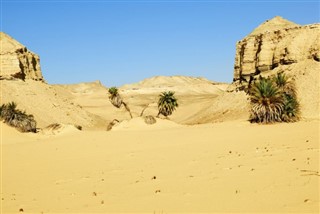 مصر