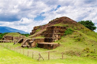 Salvadora