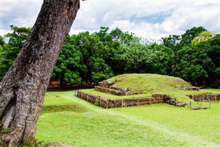 Salvadoras